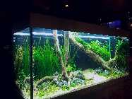 20130301_200756.jpg