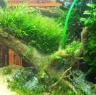 20130305_180339.jpg
