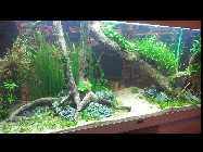 20130305_201328.jpg