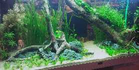 20130306_184023.jpg
