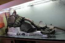 IMG_0418_(1024_x_768).jpg