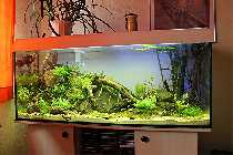 IMG_0432_(1024_x_768).jpg