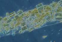 2008-06-26 um 13-29-26.jpg