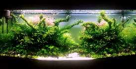 20130405_164222pi.jpg