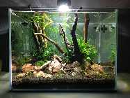 2013-04-13 19.59.48.jpg