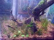 20130422_185538.jpg