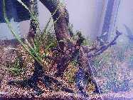 20130422_185515.jpg