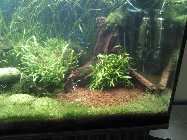 27_04_2013b.jpg