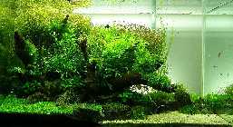 90er_LA4_28042013_nal.jpg