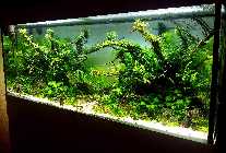 20130501_195829pi.jpg