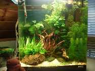60 l Nano 6.jpg