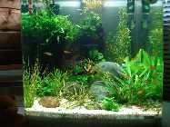 DSC00261 60 l Nano 2.jpg