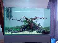 IMG-20130602-WA0002.jpg