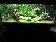 Christian_Bildtest_IMG_20130608_200941.jpg