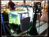 comp_CAM00210.jpg