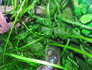 DSCN0830-1.jpg