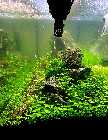 20131005_200214pi.jpg
