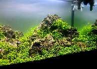 20131005_200150pi.jpg