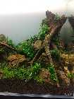 20131023_222927.jpg