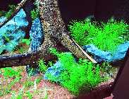 IMG_3217.jpg