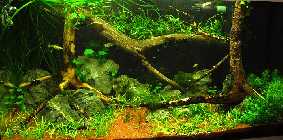 IMG_0055.jpg