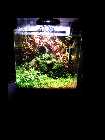 IMG_20131222_165453.jpg