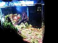 IMG_20131226_180927.jpg