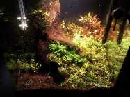 IMG_20131227_151028.jpg