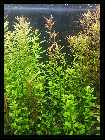 comp_Neuaufsatz WITHOUT SUNSHADE 2014 218.jpg