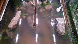 20140112_022419.jpg