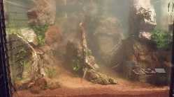 20140112_030726.jpg
