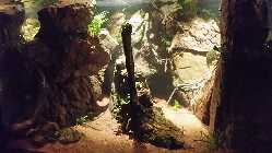 20140112_132528.jpg