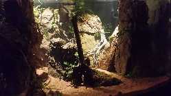 20140112_132555.jpg