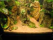 DSCN3935.jpg