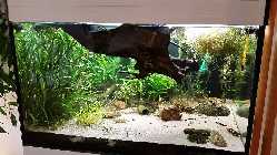 20140119_095445.jpg