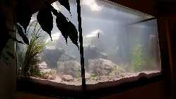 20140119_182744.jpg