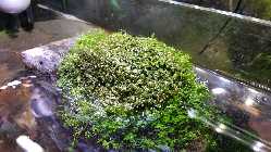 20140127_172904.jpg