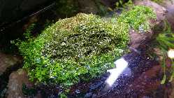 20140127_172912.jpg