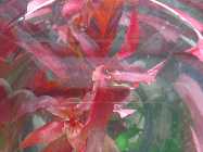 vase februar 2014 002.jpg