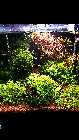 30cca61d.xl.jpg