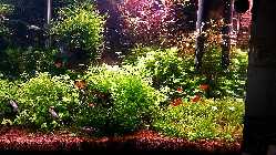 20140216_162530.jpg