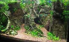 IMG_0539.jpg