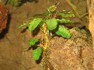 IMG_0559.jpg