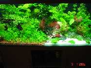 DSC00013.jpg