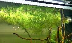 K1600_C360_2014-03-09-19-42-47-931.jpg