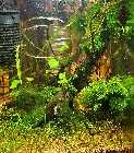 20140121_195803.jpg