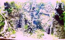 _A159634.jpg