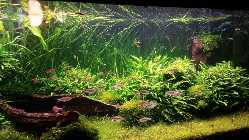 20140322_115449.jpg