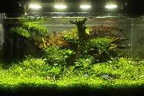 Aquarium ganz.jpg