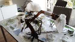 20140412_173611.jpg